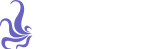 Kraken Capital logo