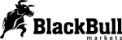 Logo BlackBull Markets