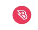 Bitvaf logo