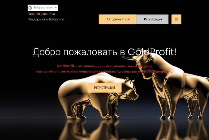 Goldprofit